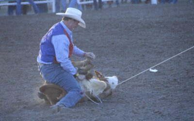 Rodeo Fun