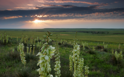 Smoky Valley Scenic Byway